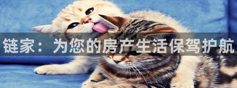 风暴娱乐求333OOa：链家：为您的房产生活保驾护航