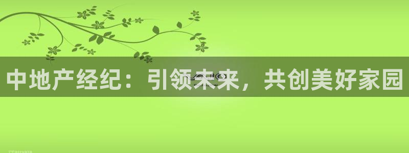 娱乐风暴合集：中地产经纪：引领未来，共创美好家园