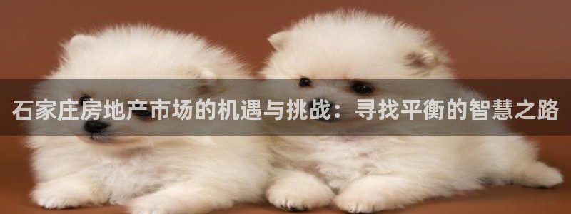 风暴娱乐银川：石家庄房地产市场的机遇与挑战：寻找平衡的智慧之