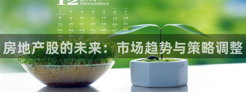 完美风暴 娱乐：房地产股的未来：市场趋势与策略调整