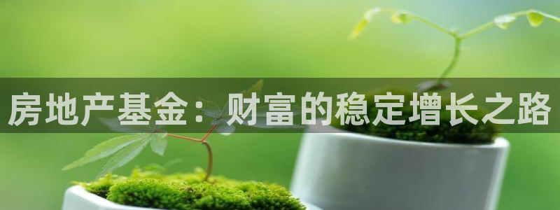 星风暴娱乐：房地产基金：财富的稳定增长之路