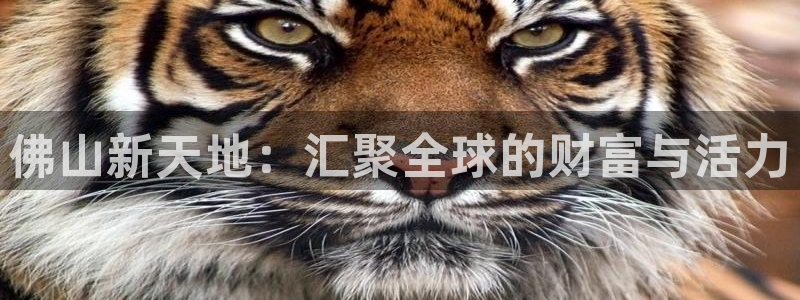 风暴娱乐乃六七五一38：佛山新天地：汇聚全球的财富与活力