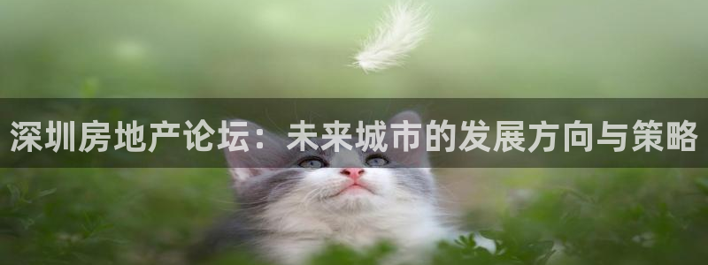 风暴娱乐待遇：深圳房地产论坛：未来城市的发展方向与策略