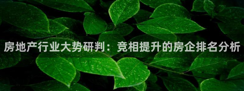 娱乐风暴合集：房地产行业大势研判：竞相提升的房企排名分析
