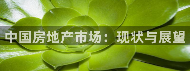 风暴娱乐乃六七五一38：中国房地产市场：现状与展望