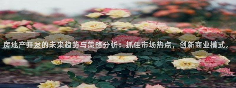 风暴娱乐5O6917：房地产开发的未来趋势与策略分析：抓住市