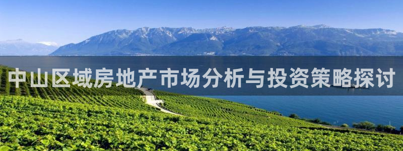 风暴娱乐登录网址：中山区域房地产市场分析与投资策略探讨