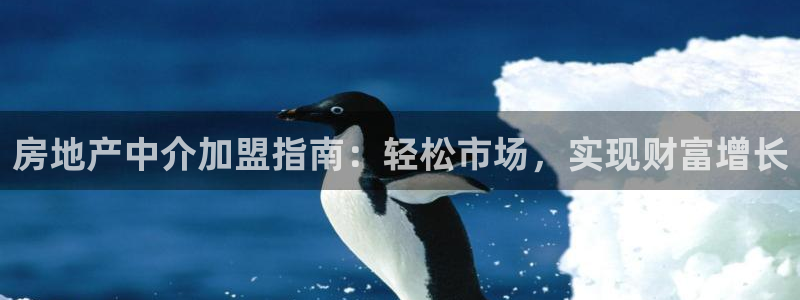 风暴娱乐测速：房地产中介加盟指南：轻松市场，实现财富增长