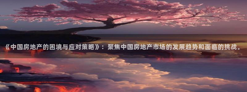 风暴娱乐1980：《中国房地产的困境与应对策略》：聚焦中国房