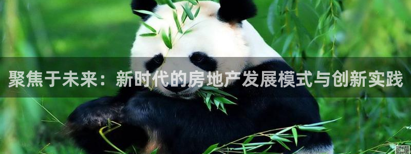 风暴娱乐fb：聚焦于未来：新时代的房地产发展模式与创新实践