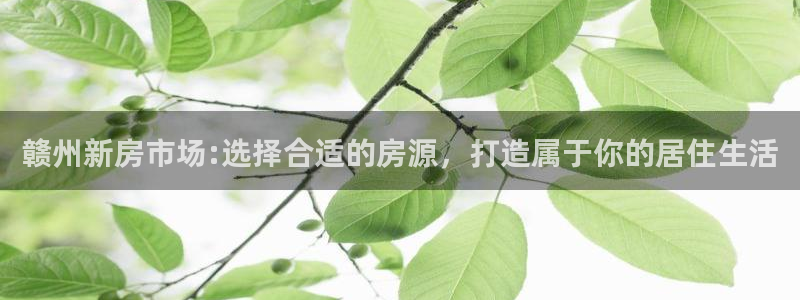 风暴娱乐代理登录：赣州新房市场:选择合适的房源，打造属于你的