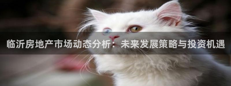 风暴娱乐测速：临沂房地产市场动态分析：未来发展策略与投资机遇