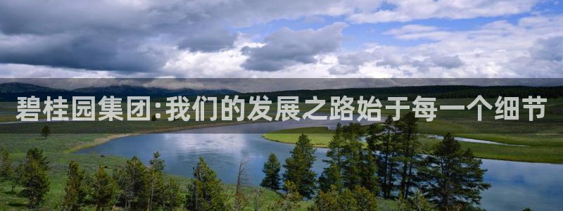 风暴娱乐平台官网登陆：碧桂园集团:我们的发展之路始于每一个细