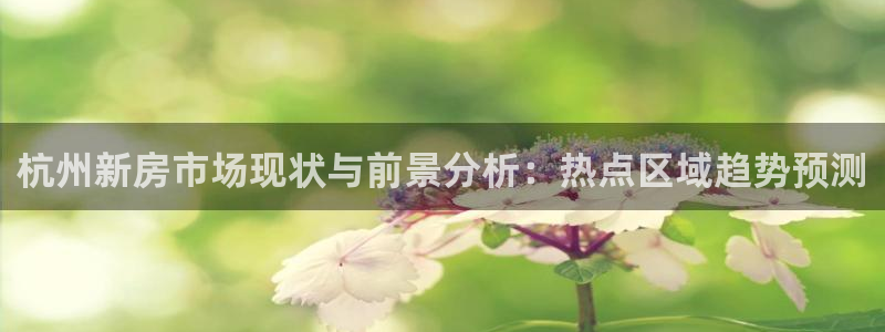 星风暴娱乐：杭州新房市场现状与前景分析：热点区域趋势预测