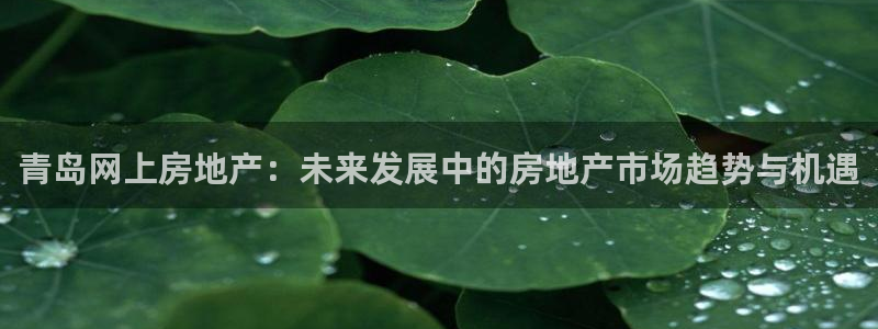 风暴娱乐主页：青岛网上房地产：未来发展中的房地产市场趋势与机