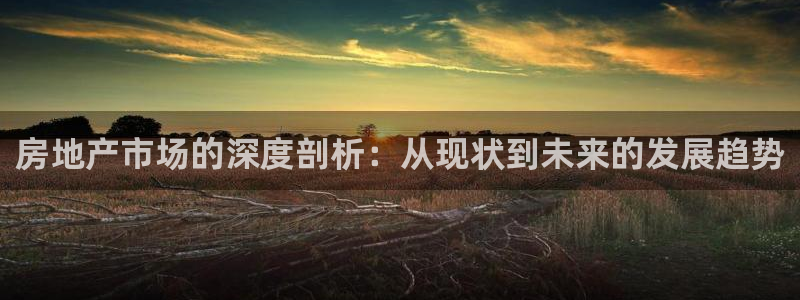 风暴娱乐1980：房地产市场的深度剖析：从现状到未来的发展趋