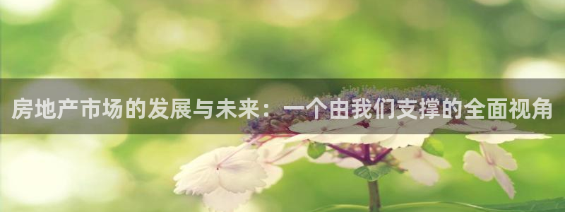 风暴娱乐：房地产市场的发展与未来：一个由我们支撑的全面视角