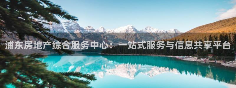 风暴娱乐棋牌：浦东房地产综合服务中心：一站式服务与信息共享平