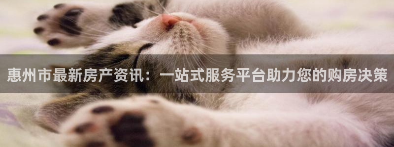 风暴娱乐下载：惠州市最新房产资讯：一站式服务平台助力您的购房