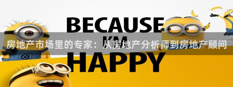 风暴娱乐fb：房地产市场里的专家：从房地产分析师到房地产顾问