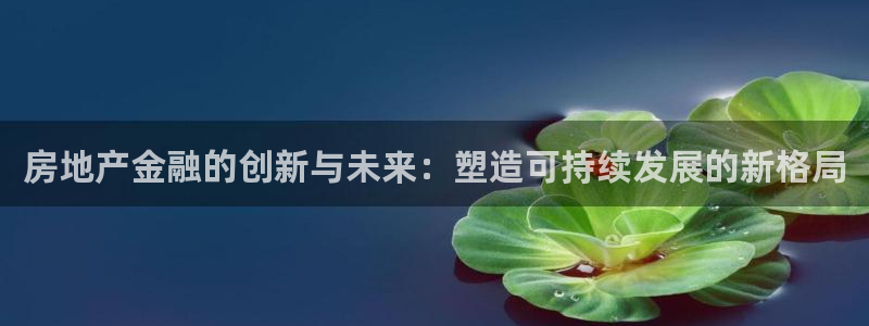 风暴娱乐老板：房地产金融的创新与未来：塑造可持续发展的新格局