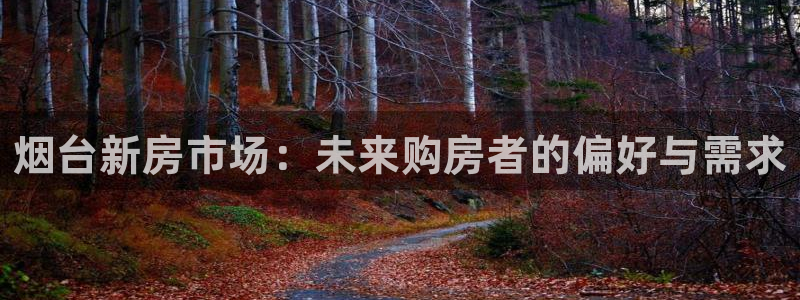 风暴娱乐派对：烟台新房市场：未来购房者的偏好与需求