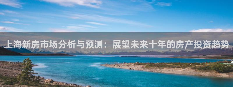 风暴娱乐1980：上海新房市场分析与预测：展望未来十年的房产