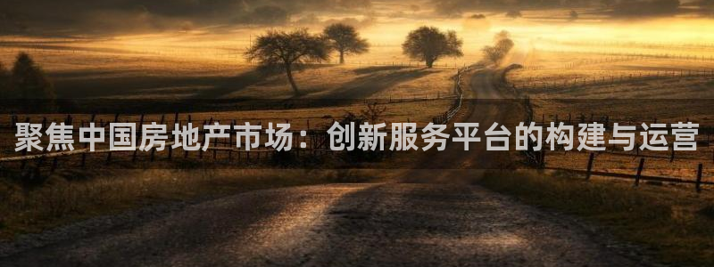 风暴娱乐下5指尖：聚焦中国房地产市场：创新服务平台的构建与运