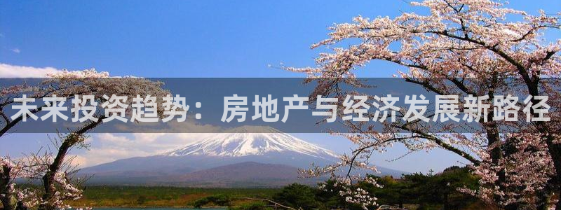 风暴娱乐有5指尖：未来投资趋势：房地产与经济发展新路径