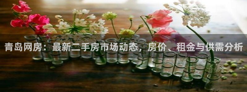 风暴娱乐点：青岛网房：最新二手房市场动态，房价、租金与供需分