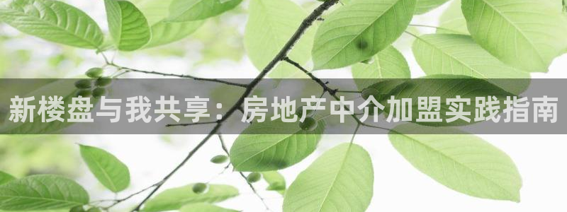 下载风暴娱乐：新楼盘与我共享：房地产中介加盟实践指南