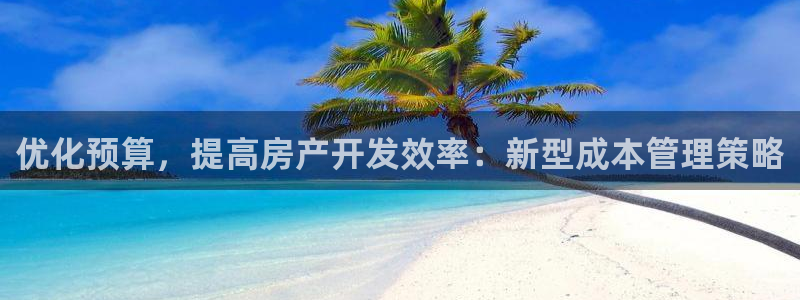 风暴娱乐号：优化预算，提高房产开发效率：新型成本管理策略