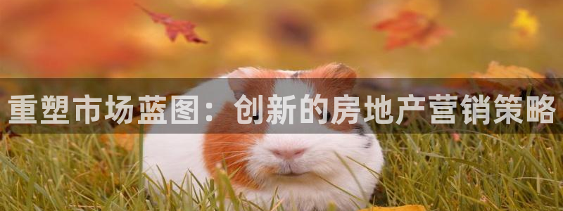 风暴娱乐地5指尖：重塑市场蓝图：创新的房地产营销策略