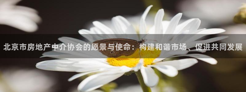 下载风暴娱乐：北京市房地产中介协会的愿景与使命：构建和谐市场
