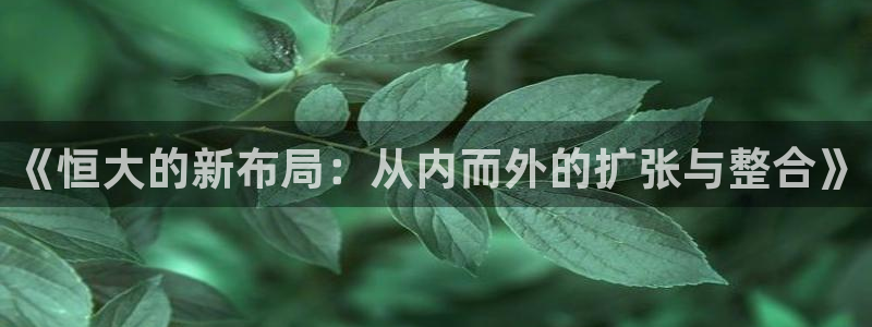 风暴注册娱乐：《恒大的新布局：从内而外的扩张与整合》
