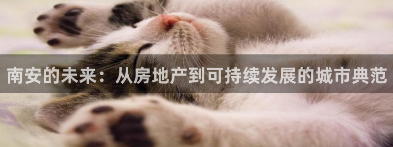 风暴娱乐客服：南安的未来：从房地产到可持续发展的城市典范