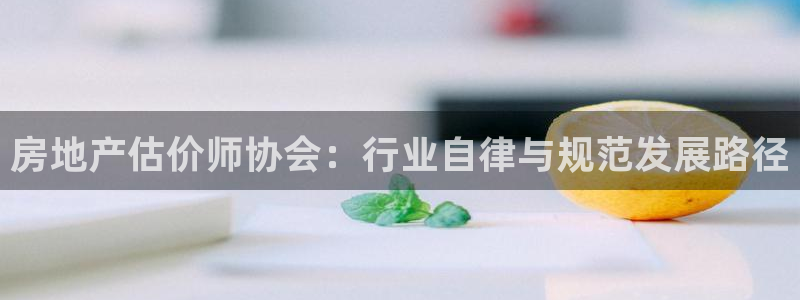 风暴新娱乐：房地产估价师协会：行业自律与规范发展路径