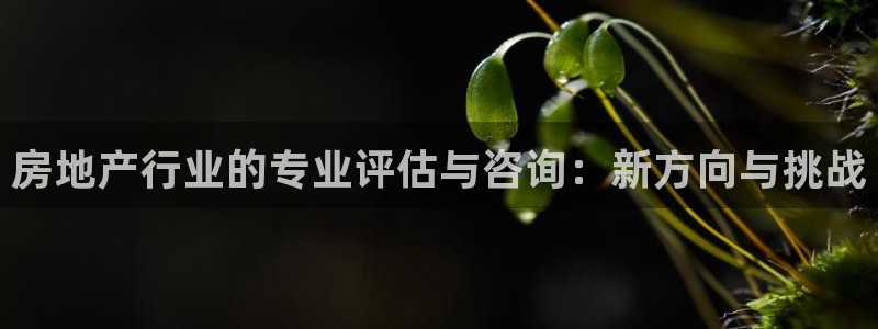 娱乐星空风暴：房地产行业的专业评估与咨询：新方向与挑战